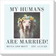 Colored Frame with Your Message Photo Napkins Image 1 of 8